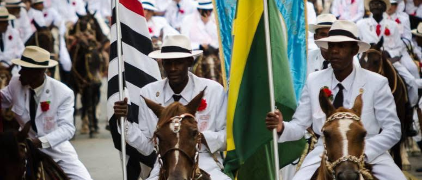 Vereadora solicita informações sobre denúncias de maus-tratos a cavalos durante desfile
